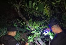 Recuperaron tres motos robadas en operativo rural en El Alcázar