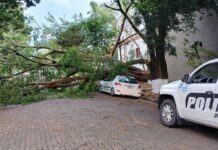 Tareas de relevamiento y operativos de asistencia tras el temporal en Posadas