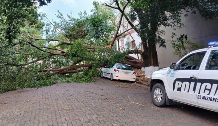 Tareas-de-relevamiento-y-operativos-de-prevencion-tras-el-temporal-en-Posadas-2