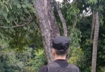 Hallaron a un hombre sin vida en una zona rural de El Soberbio