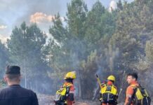 Un incendio de gran magnitud afectó 15 hectáreas en Santo Pipó y zonas aledañas
