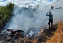 Detuvieron a un joven por el inicio de un incendio de pastizales en San Ignacio