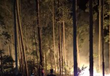 Controlaron incendios de malezas en Garupá y 25 de Mayo