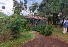 Fuerte temporal en Jardín América: causó destrozos y dejó sin luz a varios sectores