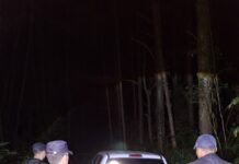 Siguieron el recorrido por las cámaras del 911 y recuperaron una camioneta robada en Alem