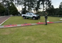 Secuestraron más de 33 kilos de marihuana valuada en $118 millones en San Antonio