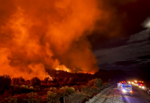 Escándalo: falsos voluntarios vendían donaciones para combatir los incendios