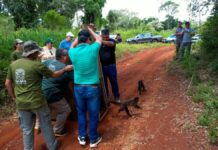 Animales silvestres regresaron a su hábitat natural luego de ser rehabilitados