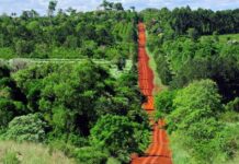 Comienza una semana con estabilidad atmosférica y calor persistente.