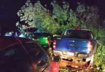 Un árbol caído en la ruta 17 provocó un triple choque y dejó dos heridos