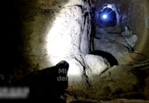 Fallido “robo del siglo” en Uruguay: una banda internacional construyó un túnel para entrar a un banco