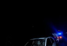 Automovilista chocó contra un caballo sobre la Ruta 14 en Guaraní