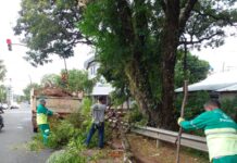 Posadas: el municipio se mantiene alerta ante imprevistos climatológicos