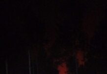 Controlaron incendio de un pinar en Caraguatay