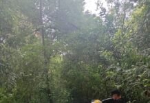 Despiste sobre la Ruta Provincial 2 en El Soberbio: una conductora resultó lesionada