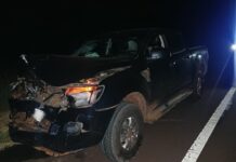 Siniestro vial en San José: una camioneta colisionó con un vacuno sobre la Ruta 14