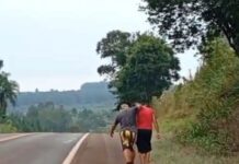 Un hombre arrastró de los pelos a su mujer y quedó demorado por violencia de género