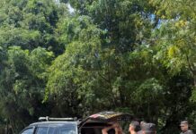 Capturaron en Misiones a un prófugo buscado por abuso sexual y fue extraditado a Brasil