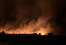 Incendio forestal en Mar del Plata: más de 200 hectáreas arrasadas