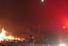 Incendio de malezas y rollos de pino fue controlado en Capioví