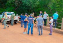 Investigan la aparición de restos de un yacaré en 25 de Mayo