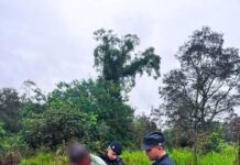 Discutieron, lo apuñaló y terminó detenido por la Policía en Andresito