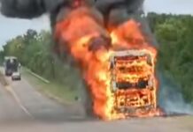 Un colectivo se incendió por completo sobre la ruta 103 en Mártires