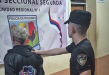 Llamó al 911 por ruidos en su casa y la Policía detuvo a un hombre oculto en un galpón