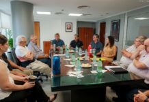 Yerba mate: diputados del Misionerismo cuestionan rechazo al precio de referencia en el INYM