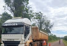 Vialidad refuerza controles de peso a camiones en la Ruta 103