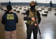 La Policía interceptó en Apóstoles un camión con más de dos toneladas de droga