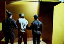 Terminó detenido tras despistar alcoholizado en la ruta provincial 225