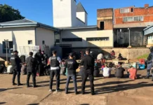 Allanamientos en Posadas: la Policía detuvo a 15 sospechosos vinculados a robos