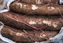 El gobernador Passalacqua reclamó a Nación bajar el IVA a la harina de mandioca