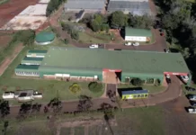 Misiones oficializó el cierre de Misio-Pharma y avanza en su liquidación