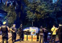 Pareja de contrabandistas detenida: llevaban cigarrillos valuados en más de $5 millones