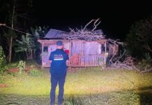 Tragedia en El Soberbio: una beba de 3 meses murió tras la caída de una rama sobre su vivienda