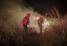 Incendio afectó unas 35 hectáreas en Loreto