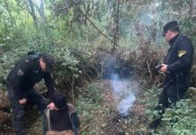 Quemaba cables robados de un aserradero para extraer cobre y terminó detenido en Garuhapé