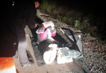 Desmayada y a 25 kilómetros de su casa hallaron a una mujer mayor extraviada