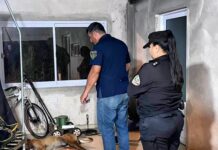 Mataron a un perro en Candelaria: la dueña acusó a su vecino y secuestraron un rifle