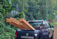 Tras el robo a un aserradero, la Policía recuperó los materiales sustraídos y detuvo al principal implicado