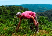 El lunes comienza “Ahora Chacra” y ya está habilitada la adhesión para ferreterías y agroveterinarias