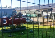 La fábrica Dass cerraría su planta en Eldorado por la crítica situación que atraviesa
