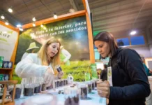 La Expo Té Argentina reúne en Posadas a más de 70 productores, emprendedores y especialistas