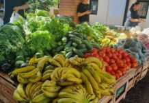 Habilitan inscripción para comercios al programa Ahora Chacra, con reintegros del 20%