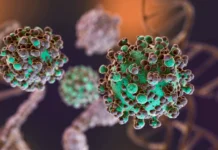 Hantavirus: confirmaron tres nuevos casos en Argentina
