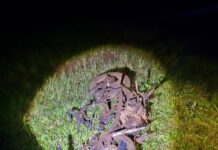 Murió un motociclista tras chocar con un auto sobre la Ruta 12 en Jardín América