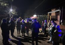 Ataque de pitbulls: vecinos denunciaron amenazas por parte de los dueños