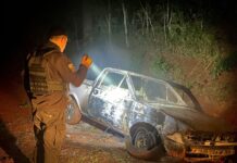 Un desperfecto mecánico provocó el incendio de una camioneta en Campo Ramón
